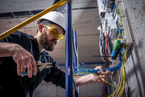 Best Electric Panel Repair  in Indian Rocks Beach, FL